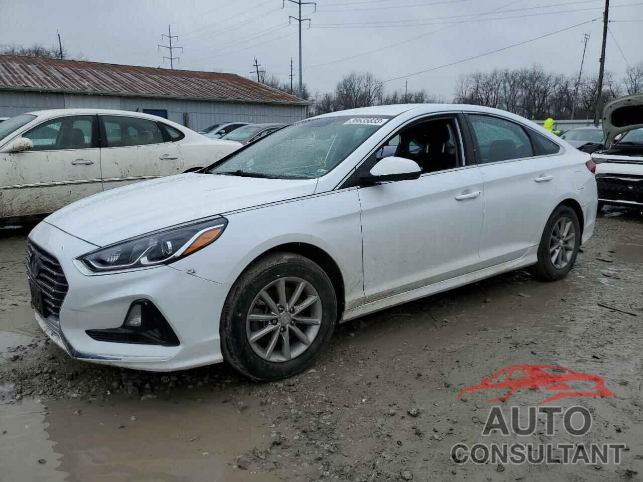 HYUNDAI SONATA 2018 - 5NPE24AF0JH720333