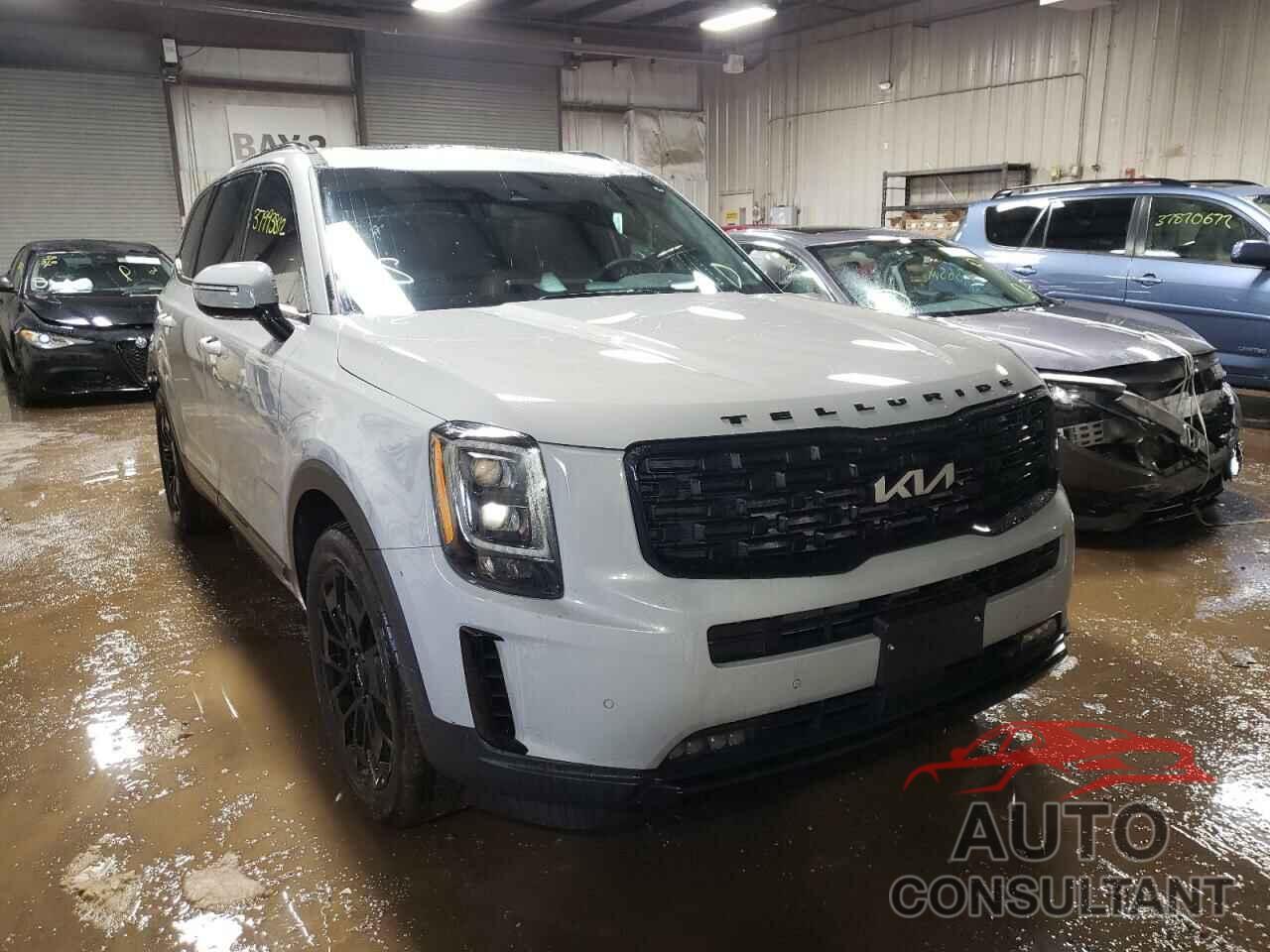 KIA TELLURIDE 2022 - 5XYP5DHC1NG217550