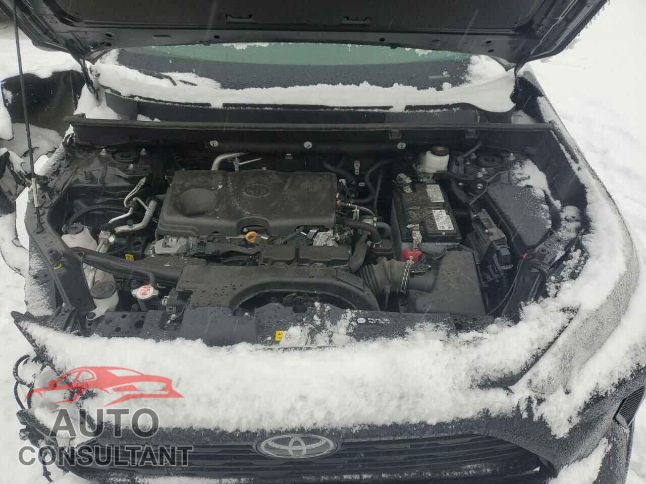 TOYOTA RAV4 2021 - 2T3F1RFV1MC215744
