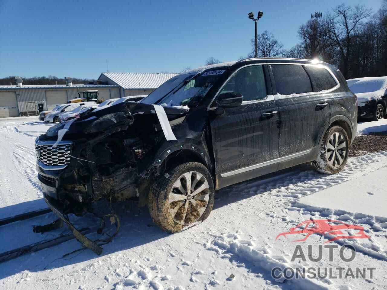 KIA TELLURIDE 2020 - 5XYP6DHC5LG017555