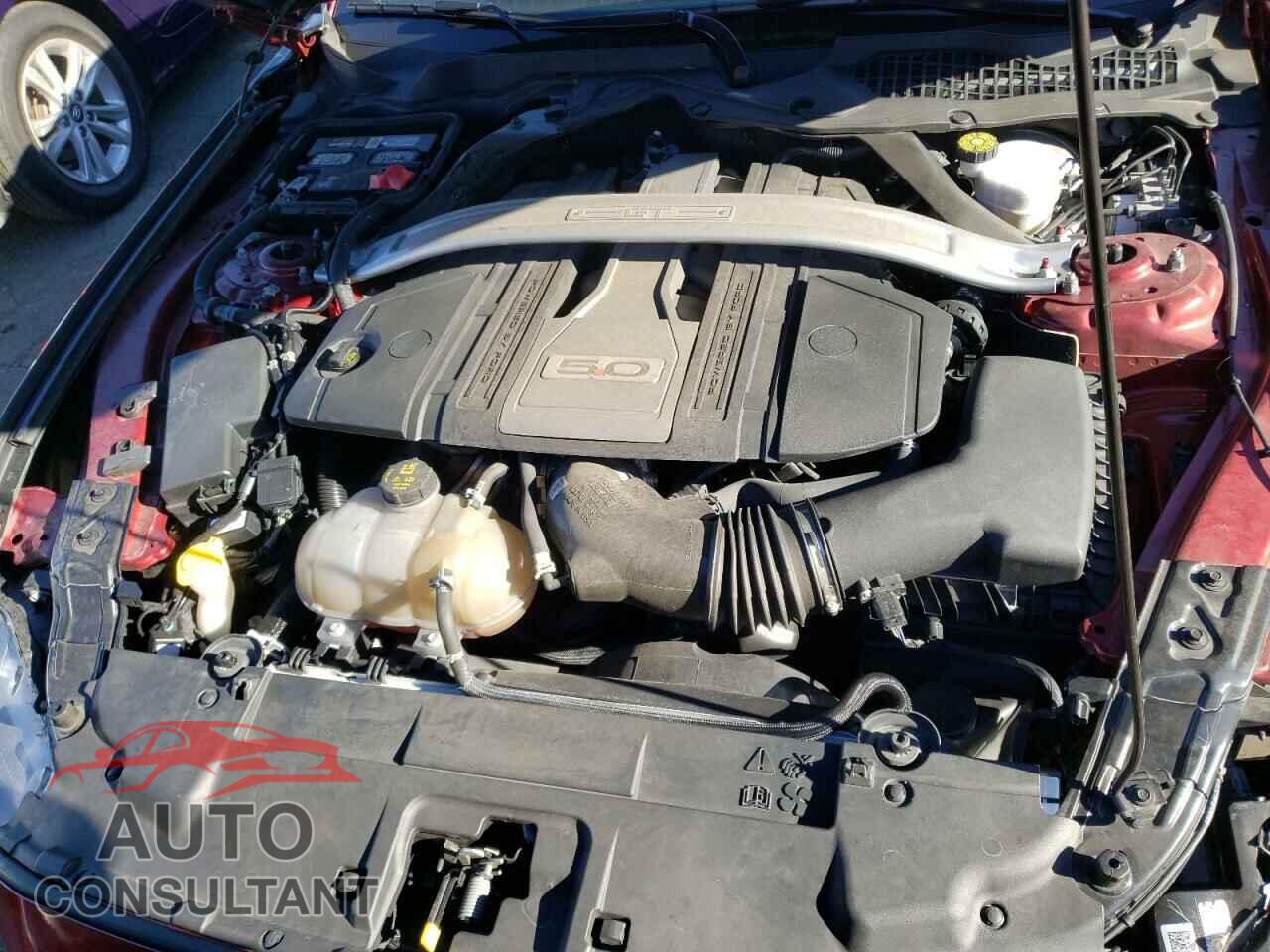 FORD MUSTANG 2019 - 1FA6P8CF0K5194903