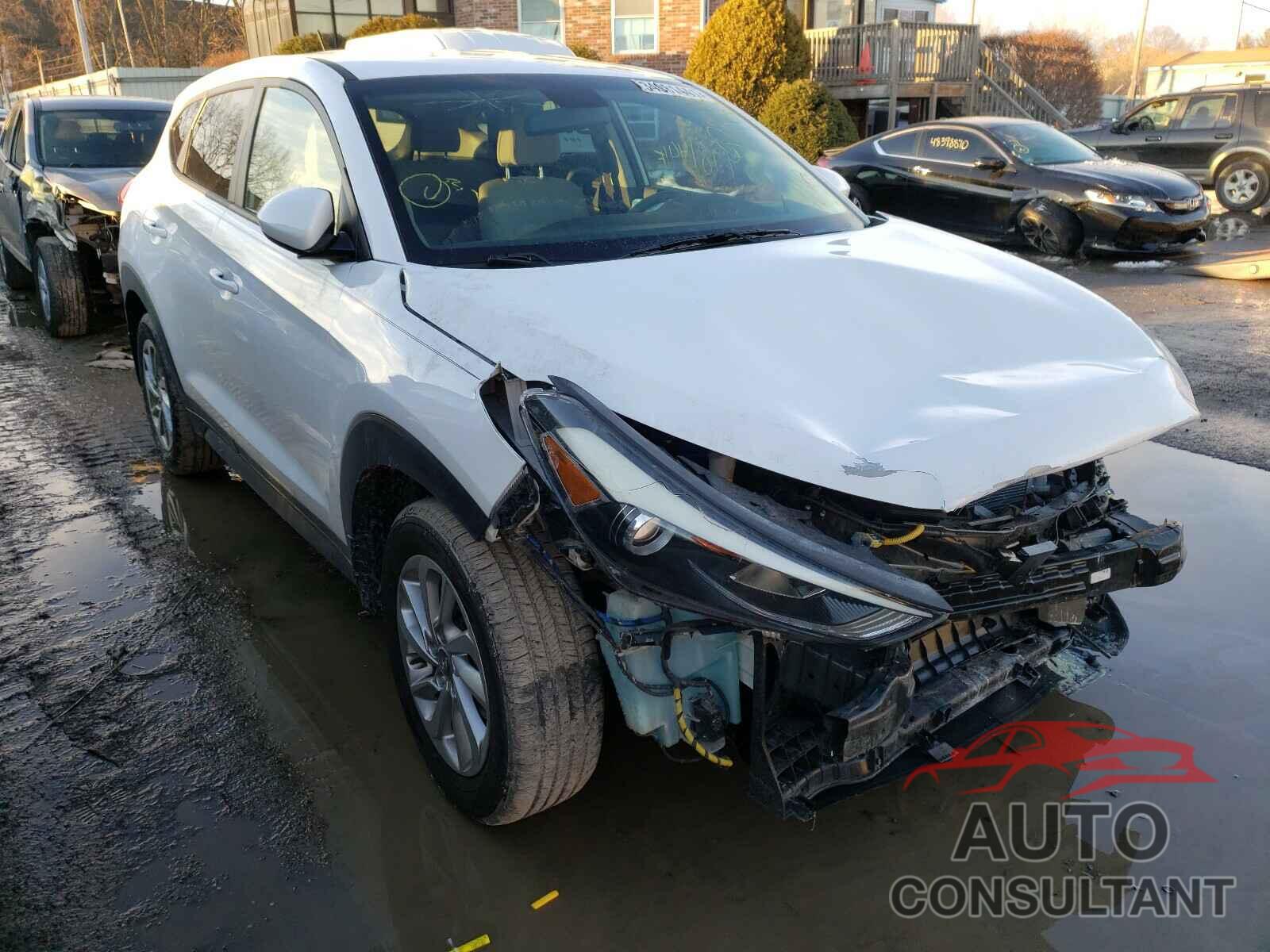 HYUNDAI TUCSON 2017 - KM8J23A43HU323590