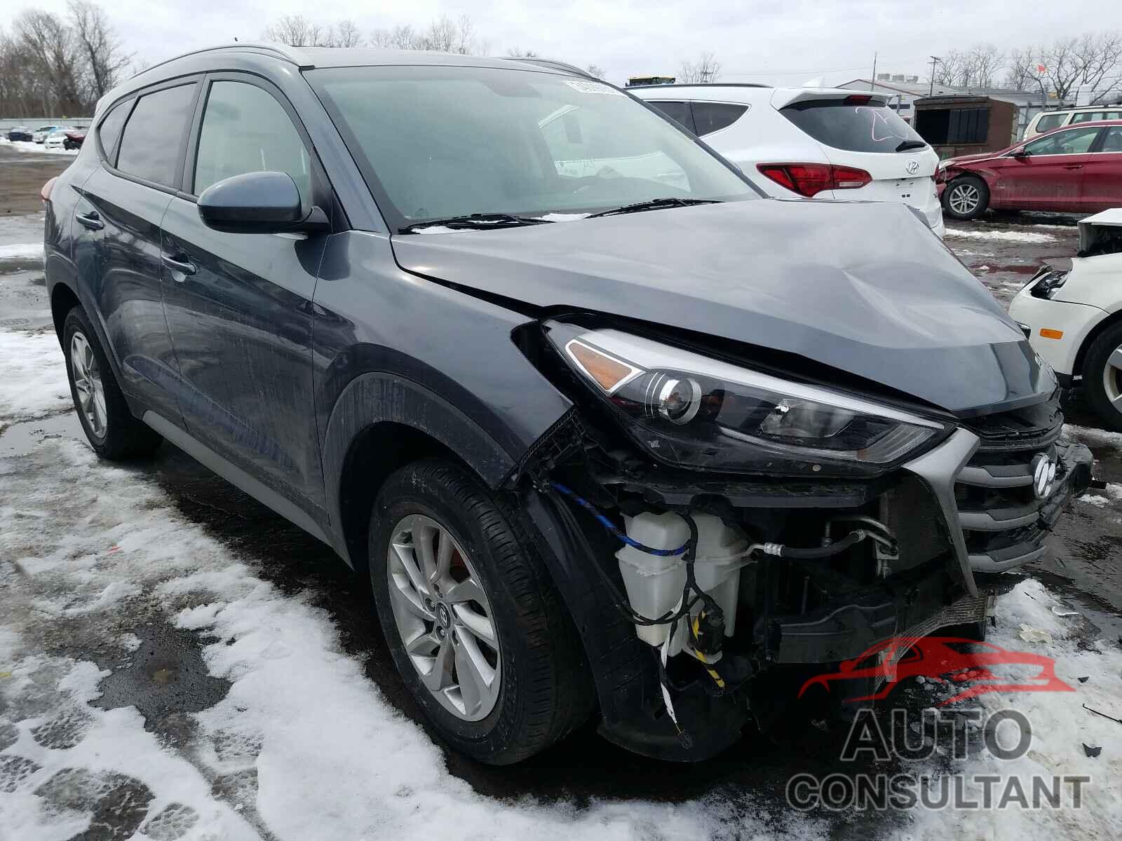 HYUNDAI TUCSON 2017 - KM8J3CA41HU532601