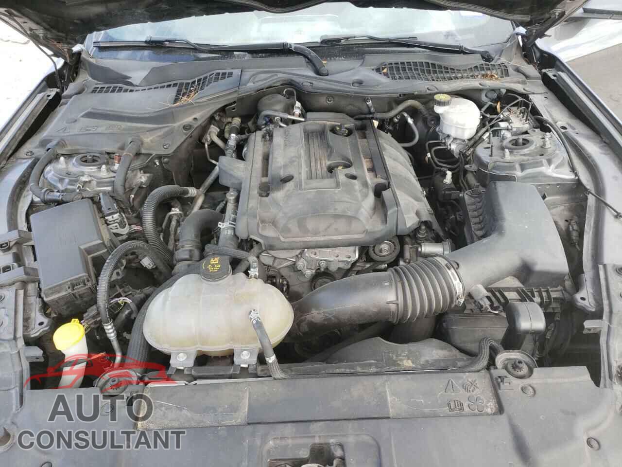 FORD MUSTANG 2019 - 1FA6P8TH1K5194491