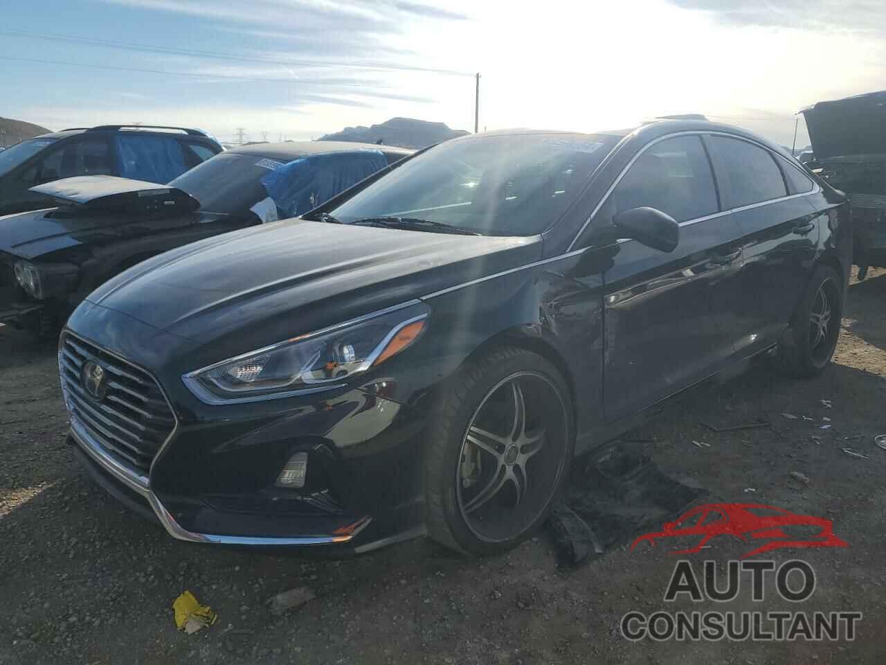 HYUNDAI SONATA 2019 - 5NPE24AF6KH792381