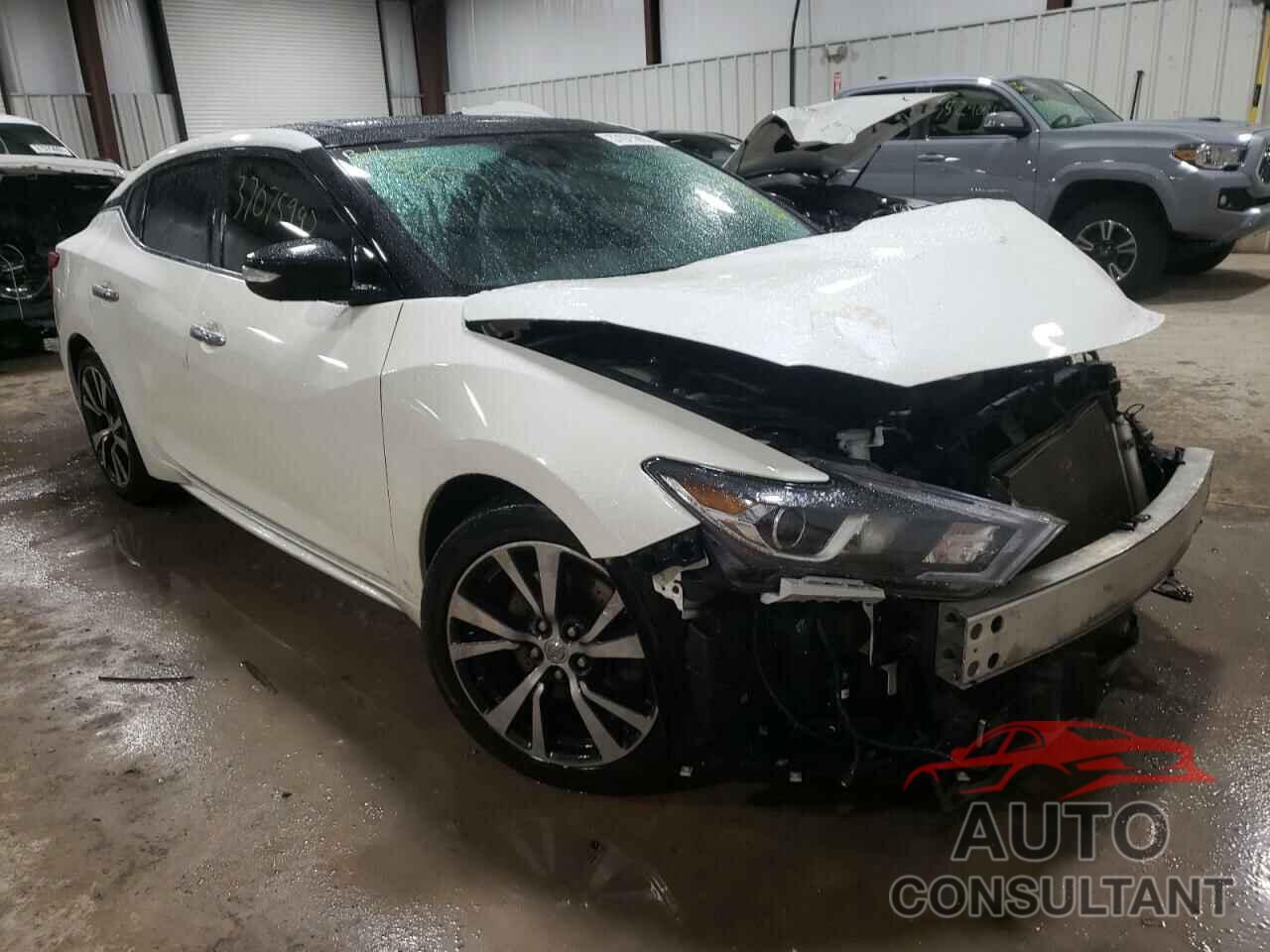 NISSAN MAXIMA 2016 - 1N4AA6AP8GC376976