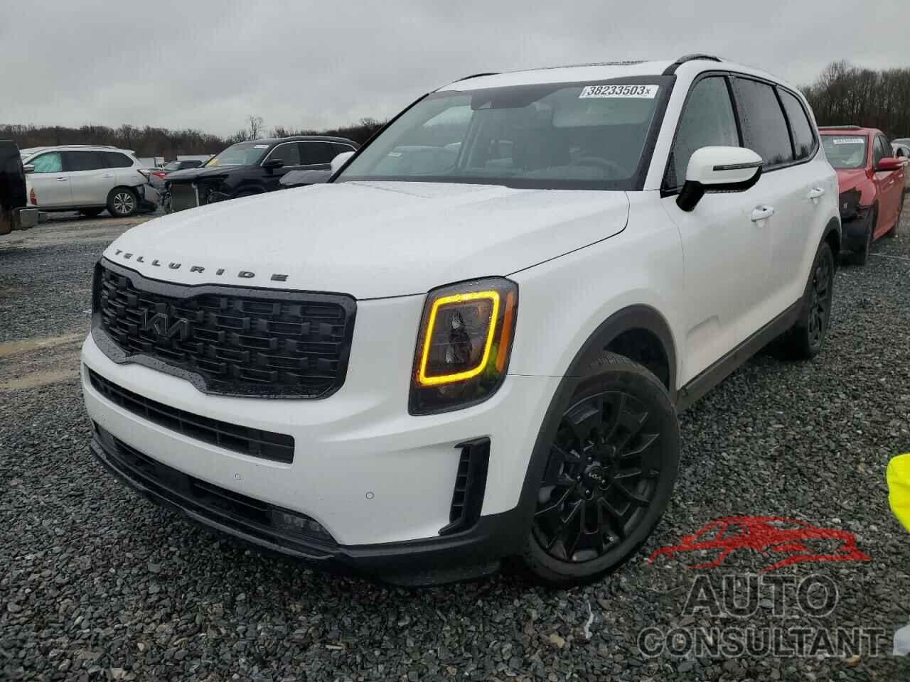 KIA TELLURIDE 2022 - 5XYP5DHC4NG308800