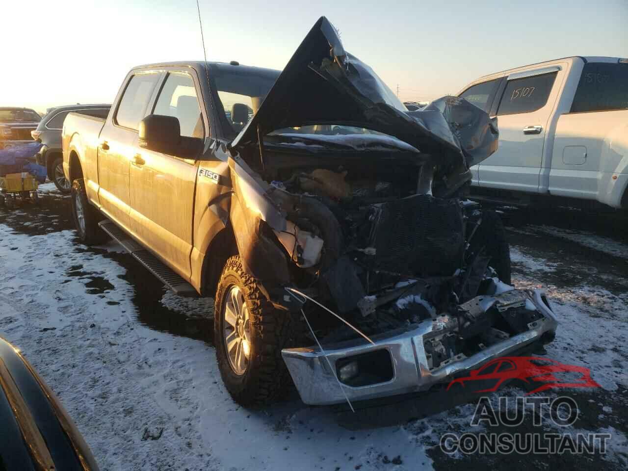 FORD F-150 2016 - 1FTFW1EF8GKF22336
