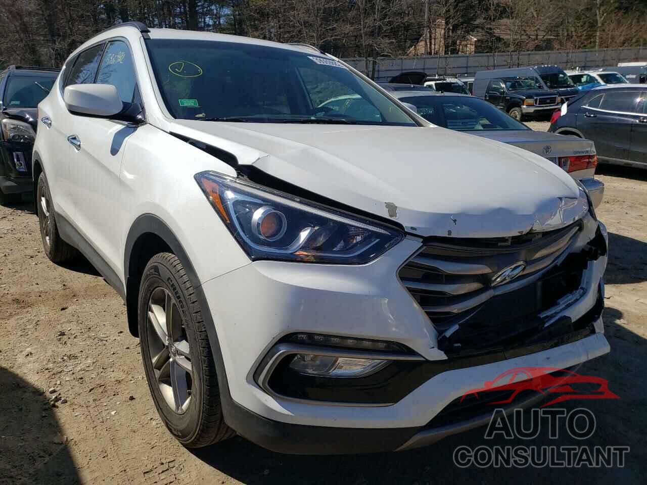 HYUNDAI SANTA FE 2017 - 5NMZUDLB3HH037958