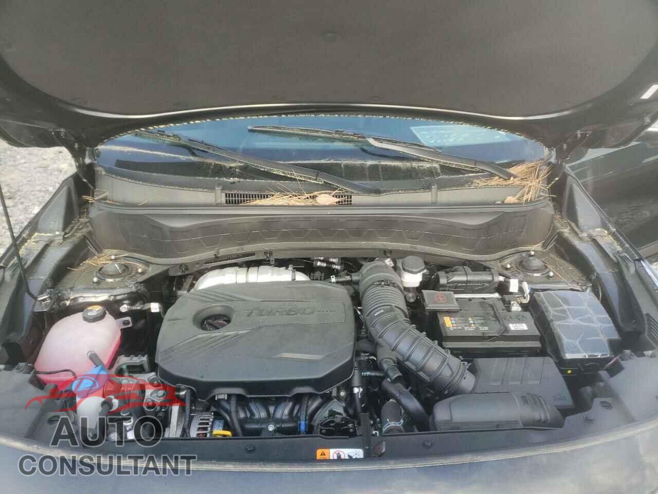 KIA SELTOS 2022 - KNDETCA26N7236830