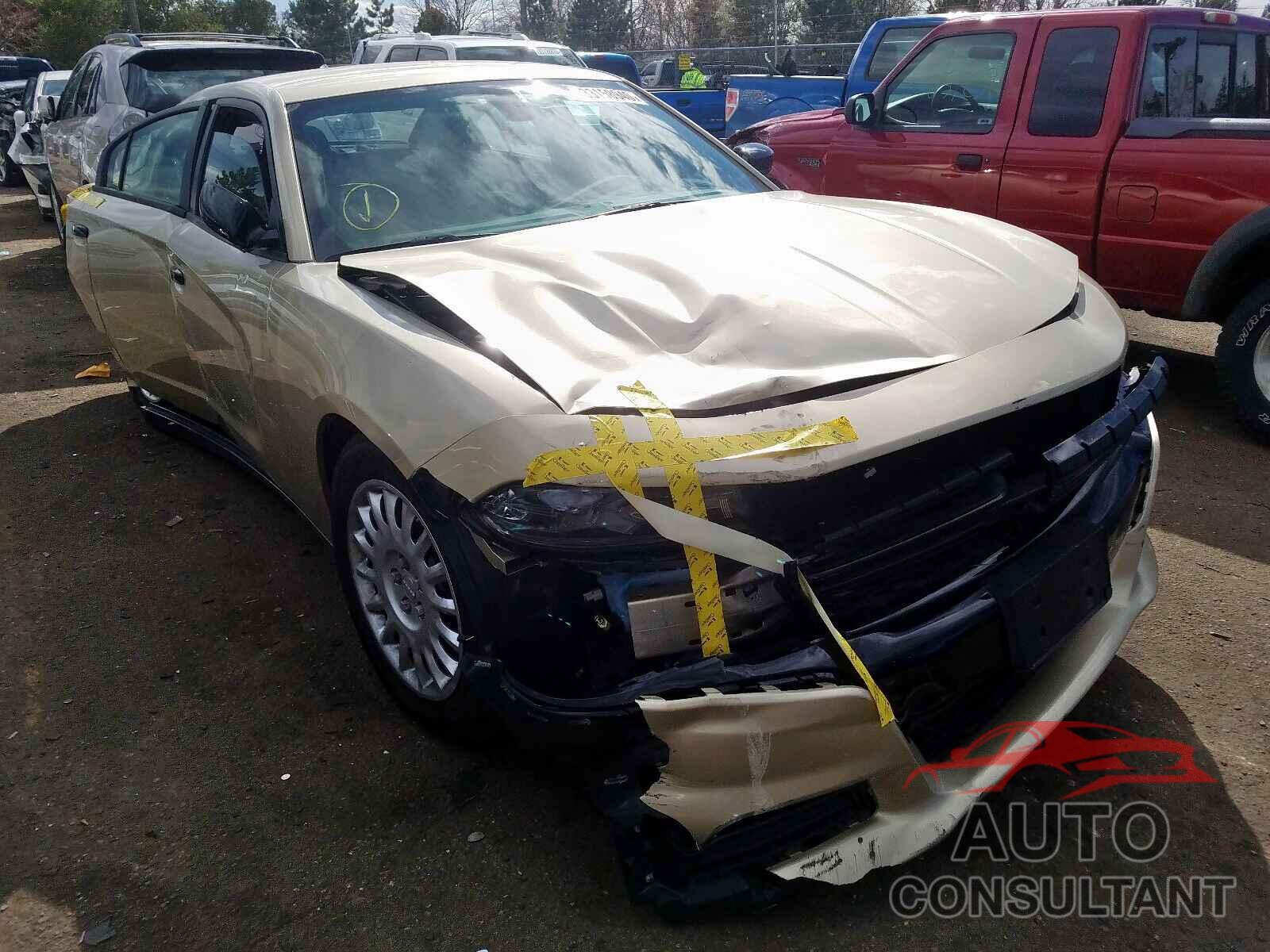 DODGE CHARGER 2019 - 5NPE34AF3JH644488
