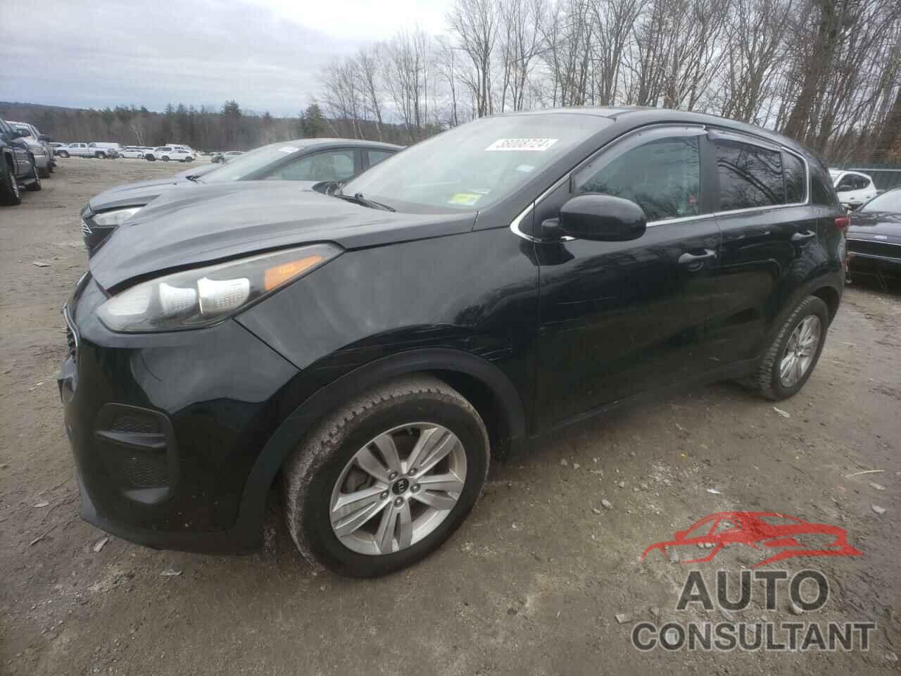 KIA SPORTAGE 2017 - KNDPM3AC4H7092195