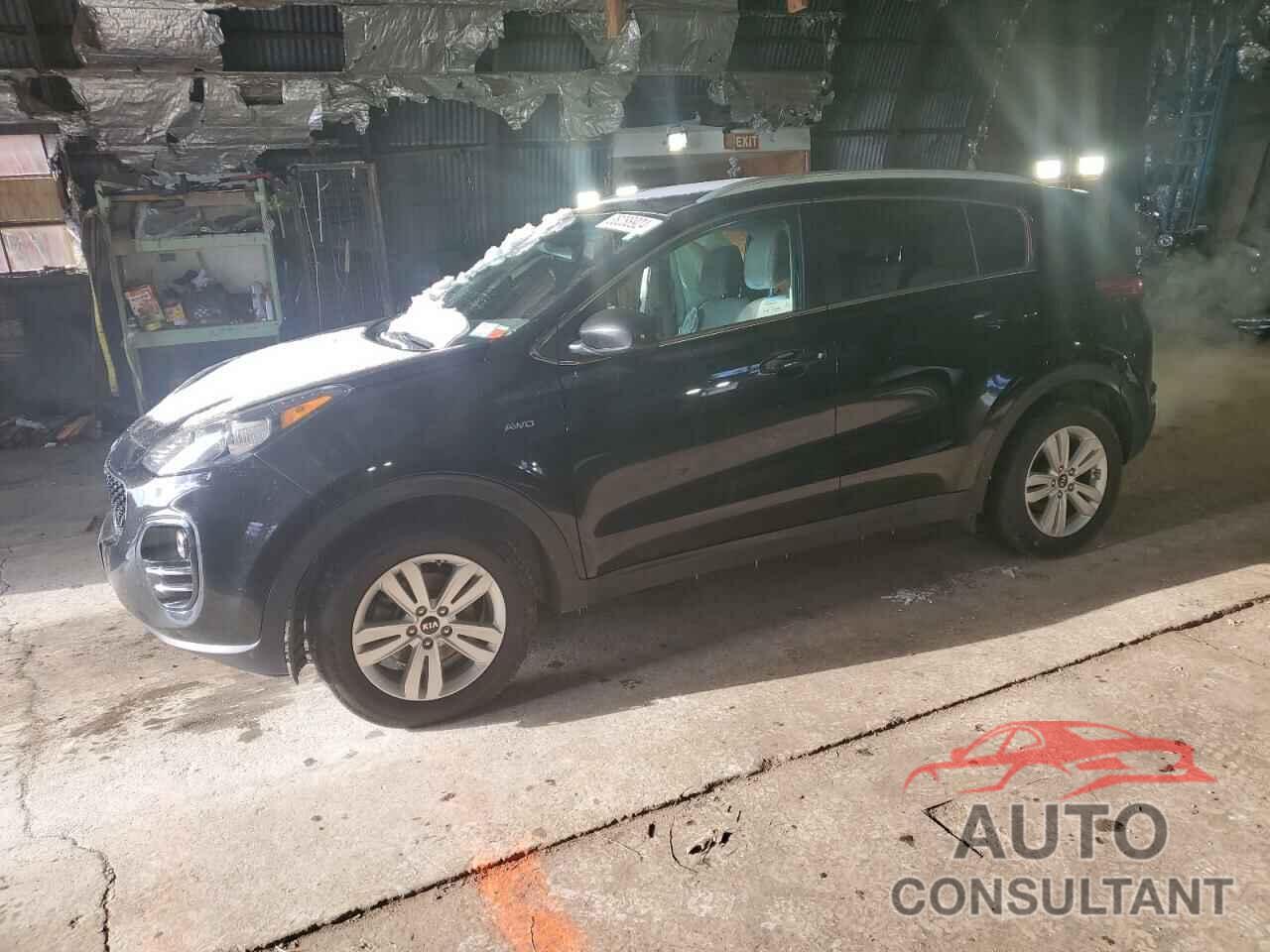 KIA SPORTAGE 2017 - KNDPMCACXH7285905