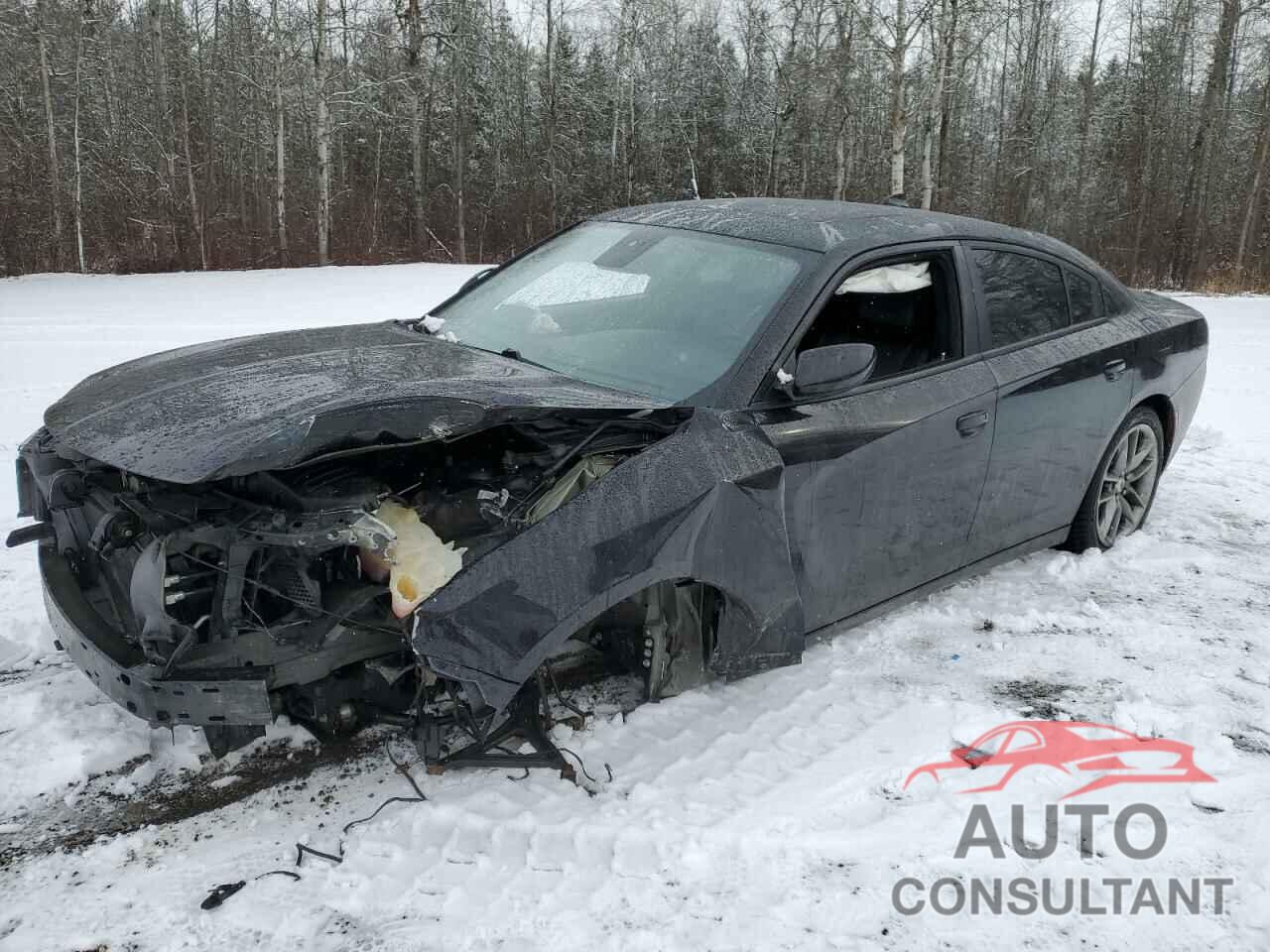 DODGE CHARGER 2021 - 2C3CDXJG7MH602566