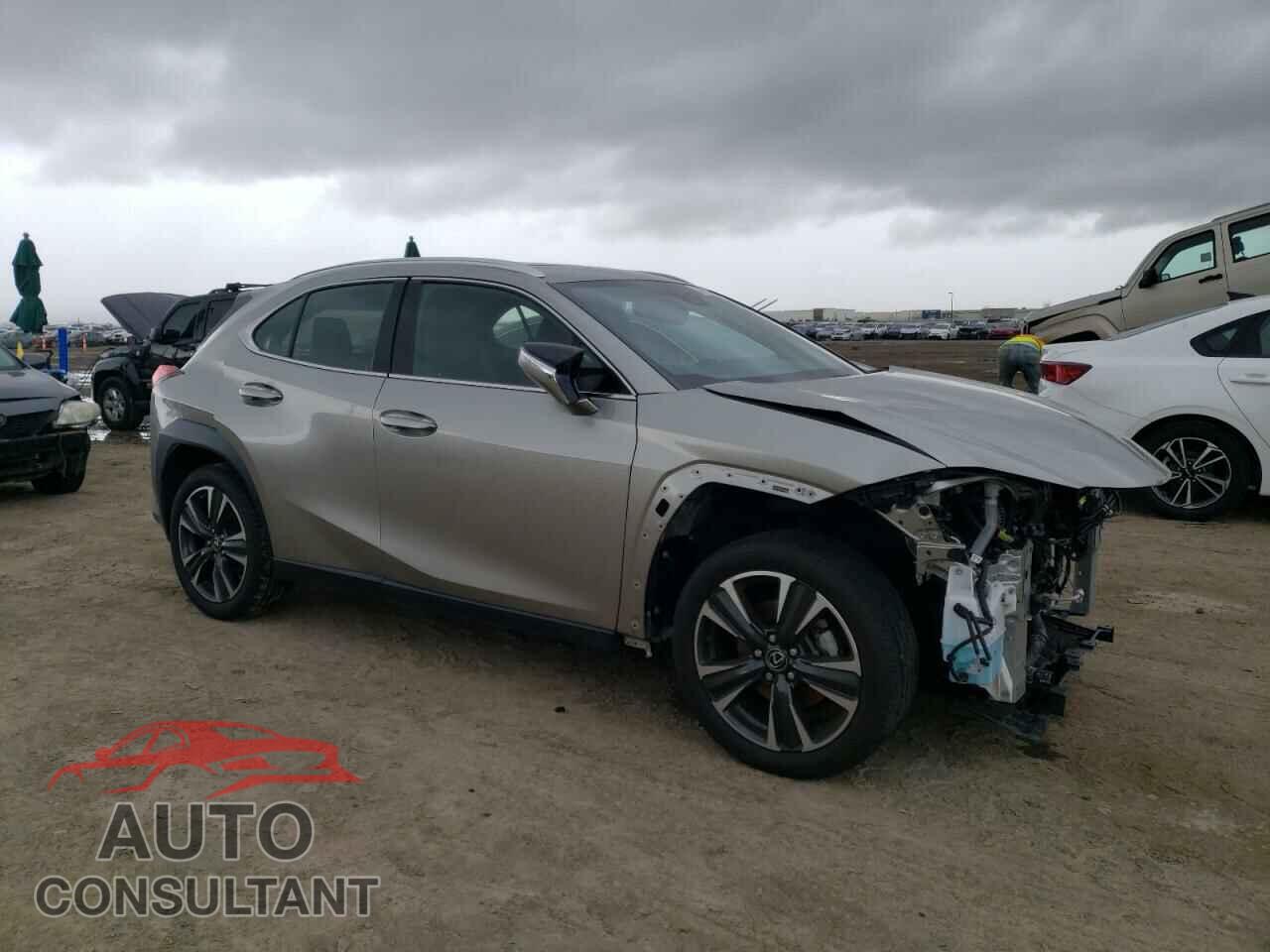 LEXUS UX 200 2019 - JTHY3JBH0K2018233