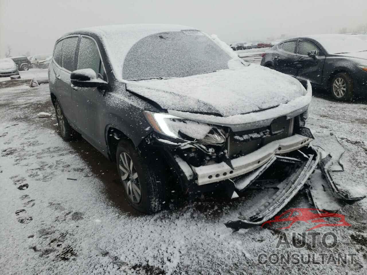 HONDA PILOT 2019 - 5FNYF6H52KB007606