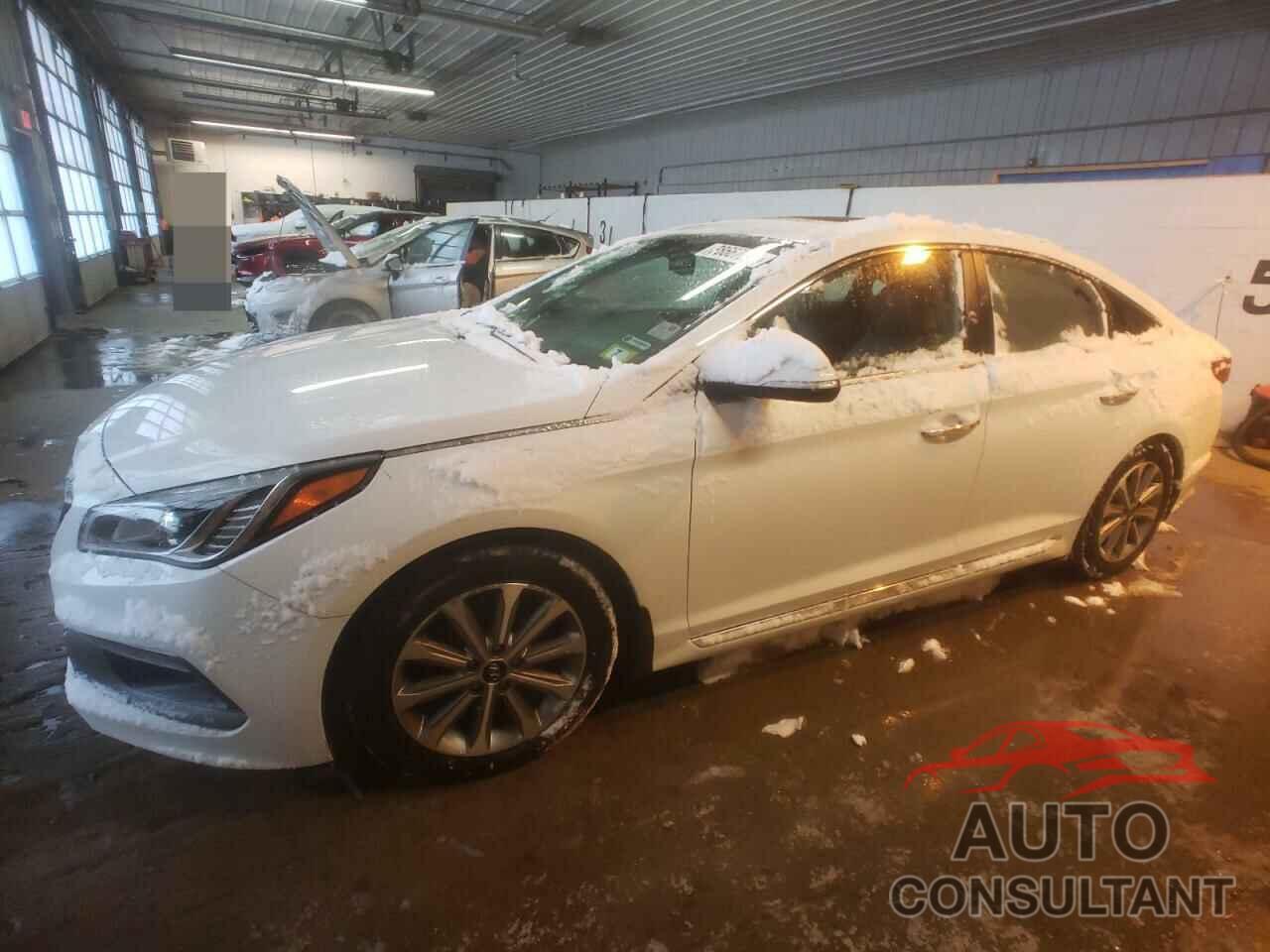 HYUNDAI SONATA 2017 - 5NPE34AF0HH458711