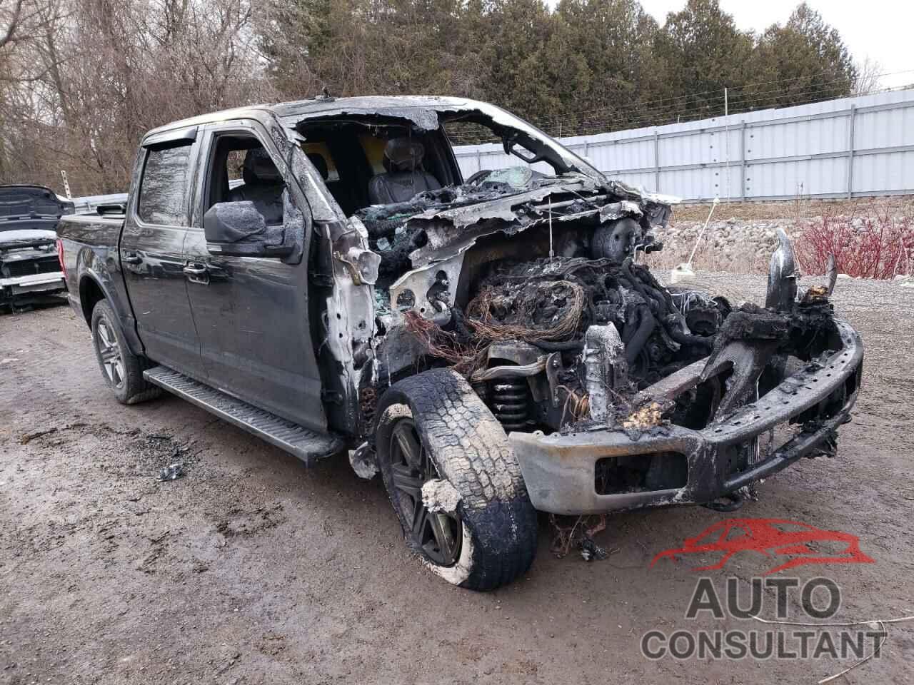 FORD F-150 2020 - 1FTEW1E55LFB59046