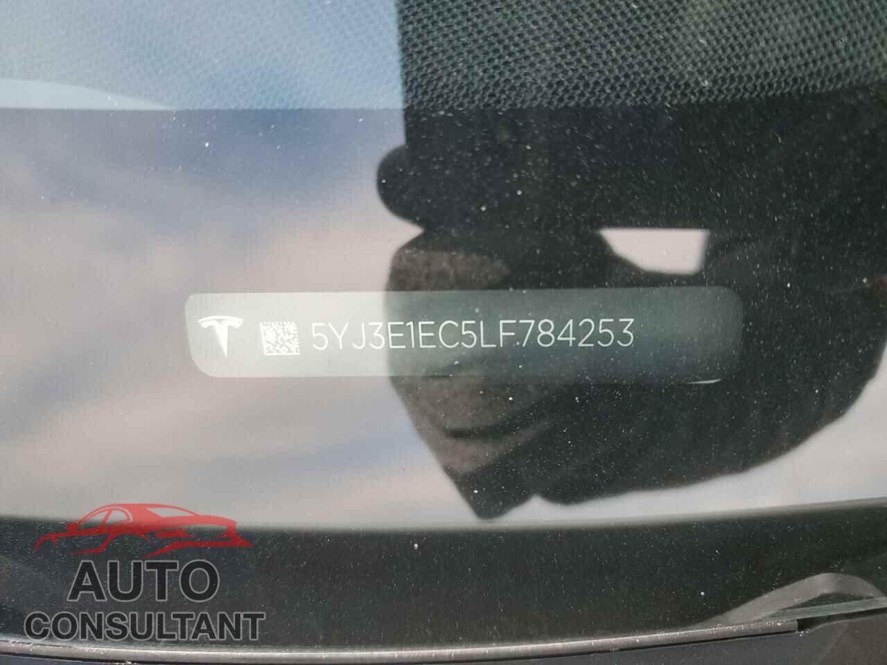 TESLA MODEL 3 2020 - 5YJ3E1EC5LF784253