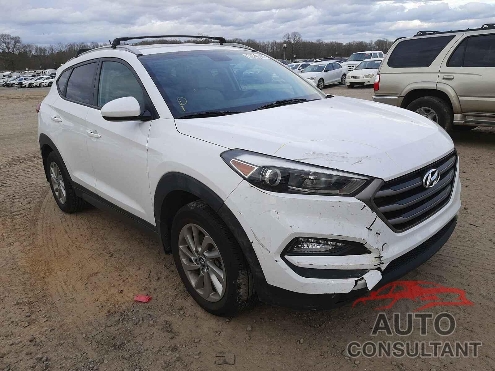 HYUNDAI TUCSON 2016 - KM8J33A46GU144617