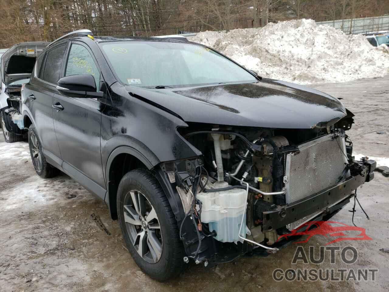 TOYOTA RAV4 2016 - 2T3RFREV9GW439962