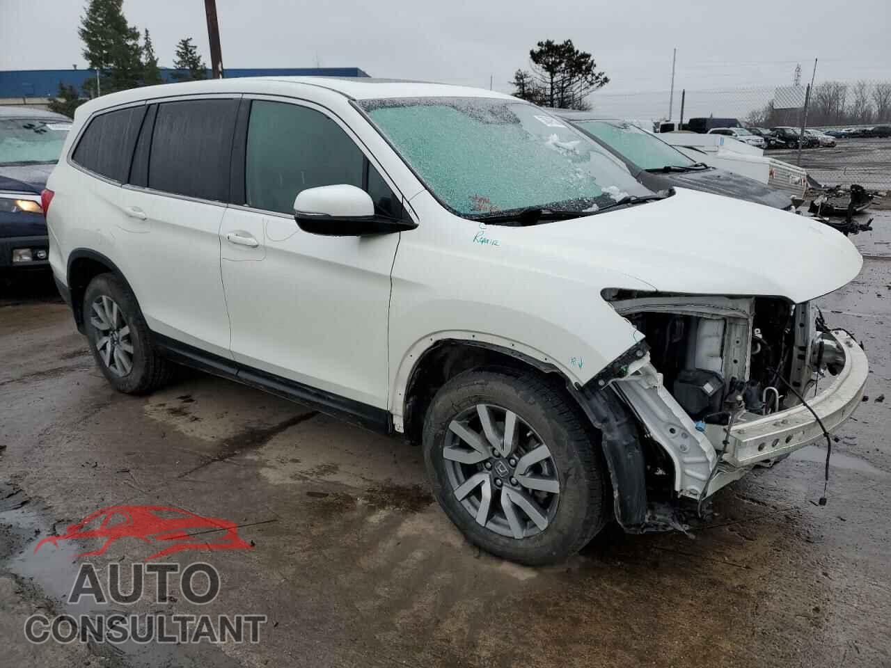 HONDA PILOT 2019 - 5FNYF6H59KB052803