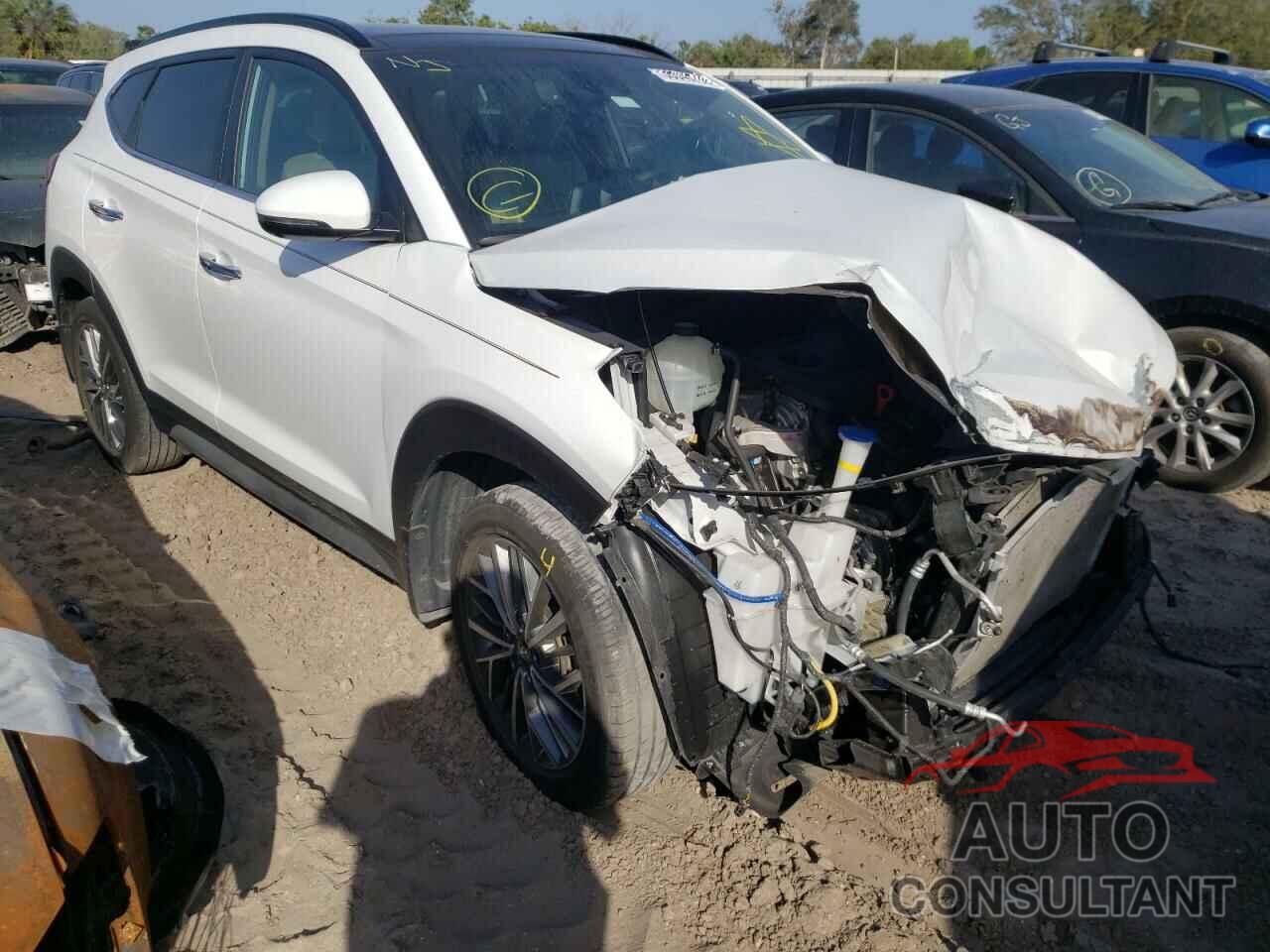 HYUNDAI TUCSON 2019 - KM8J33AL4KU002346