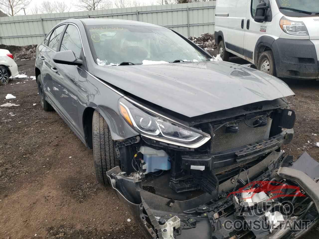 HYUNDAI SONATA 2019 - 5NPE24AF1KH733822