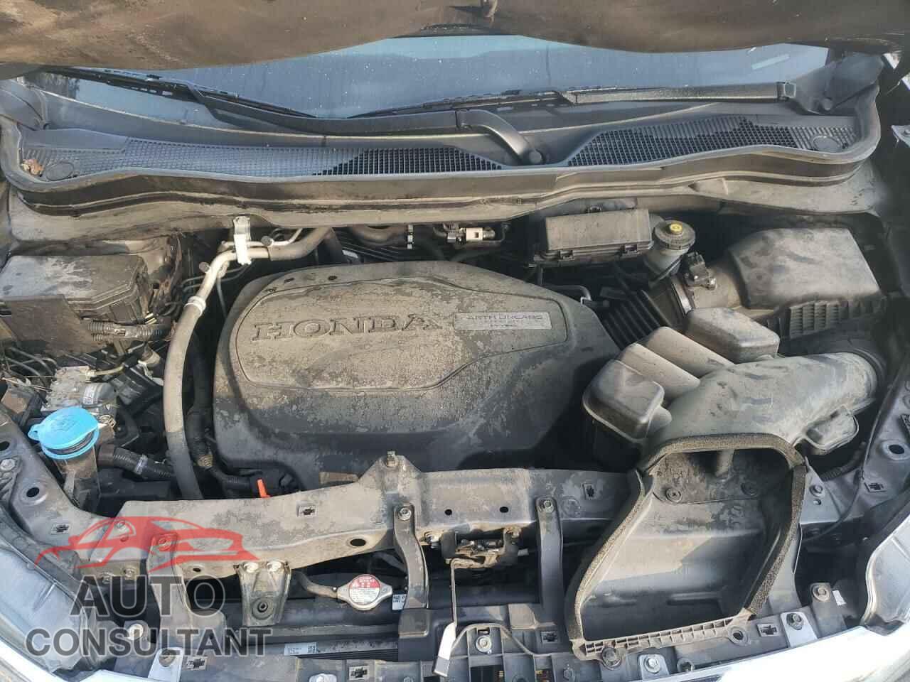 HONDA RIDGELINE 2019 - 5FPYK2F5XKB001647