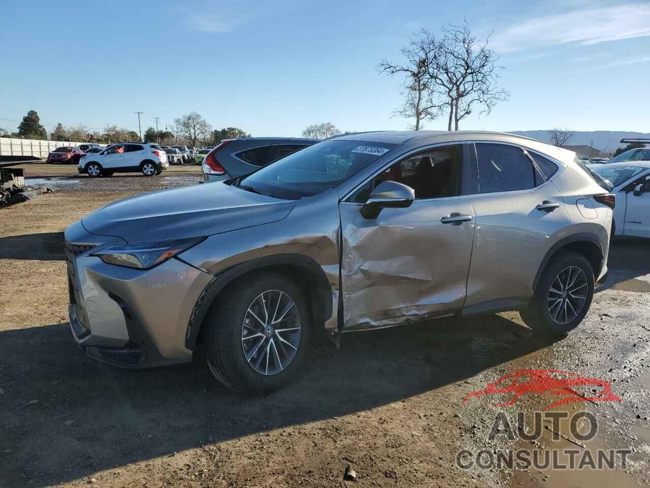 LEXUS NX 250 PRE 2024 - 2T2GDCAZ0RC007515