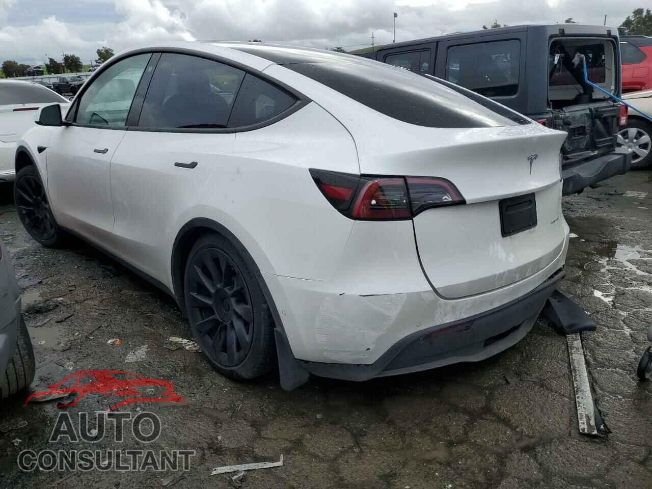 TESLA MODEL Y 2022 - 7SAYGDEE1NF495976