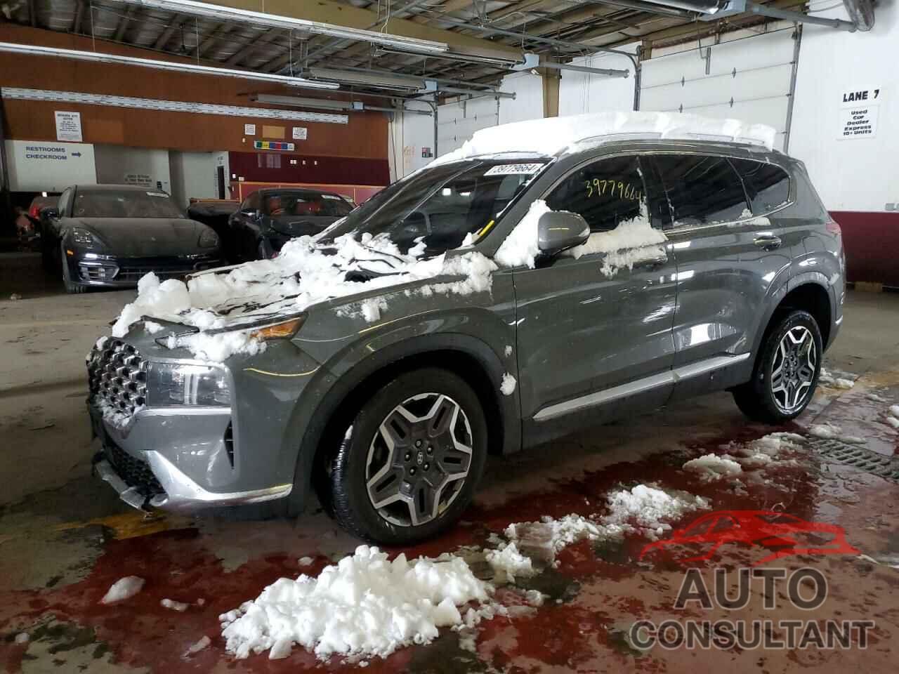 HYUNDAI SANTA FE 2023 - 5NMS4DAL9PH484936