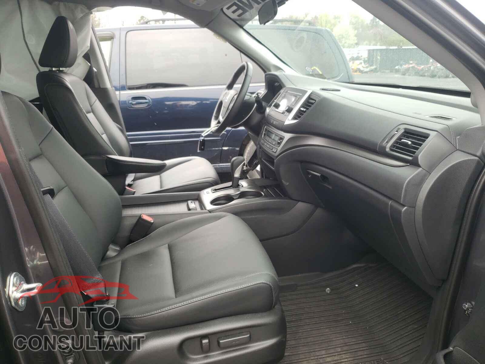 HONDA RIDGELINE 2019 - 5FPYK3F59KB040736