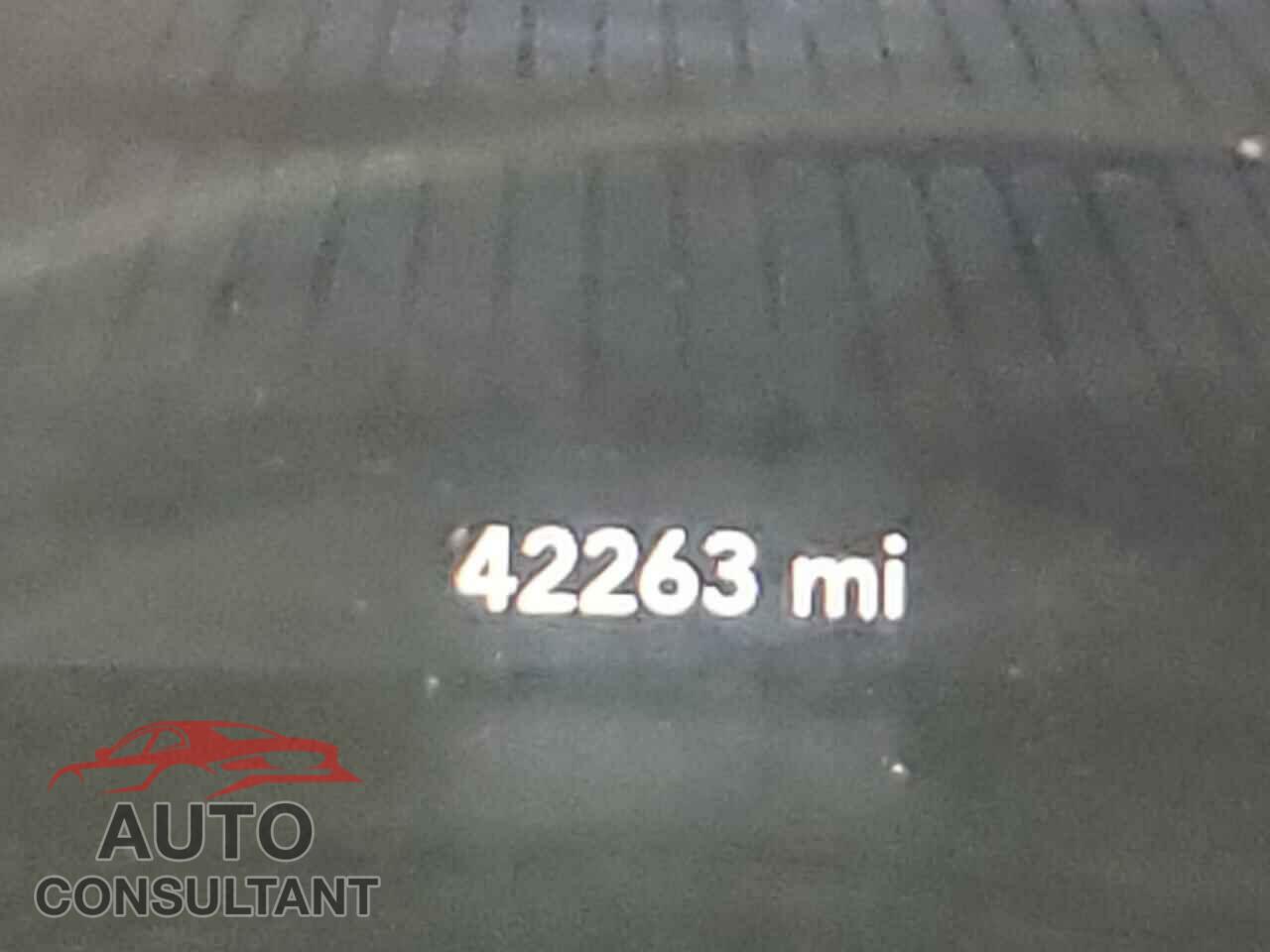 DODGE CHALLENGER 2019 - 2C3CDZBT9KH606428