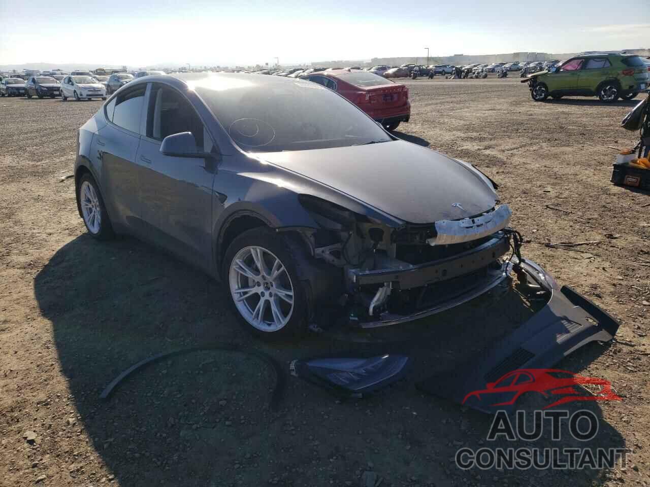 TESLA MODEL Y 2021 - 5YJYGAEE8MF217585