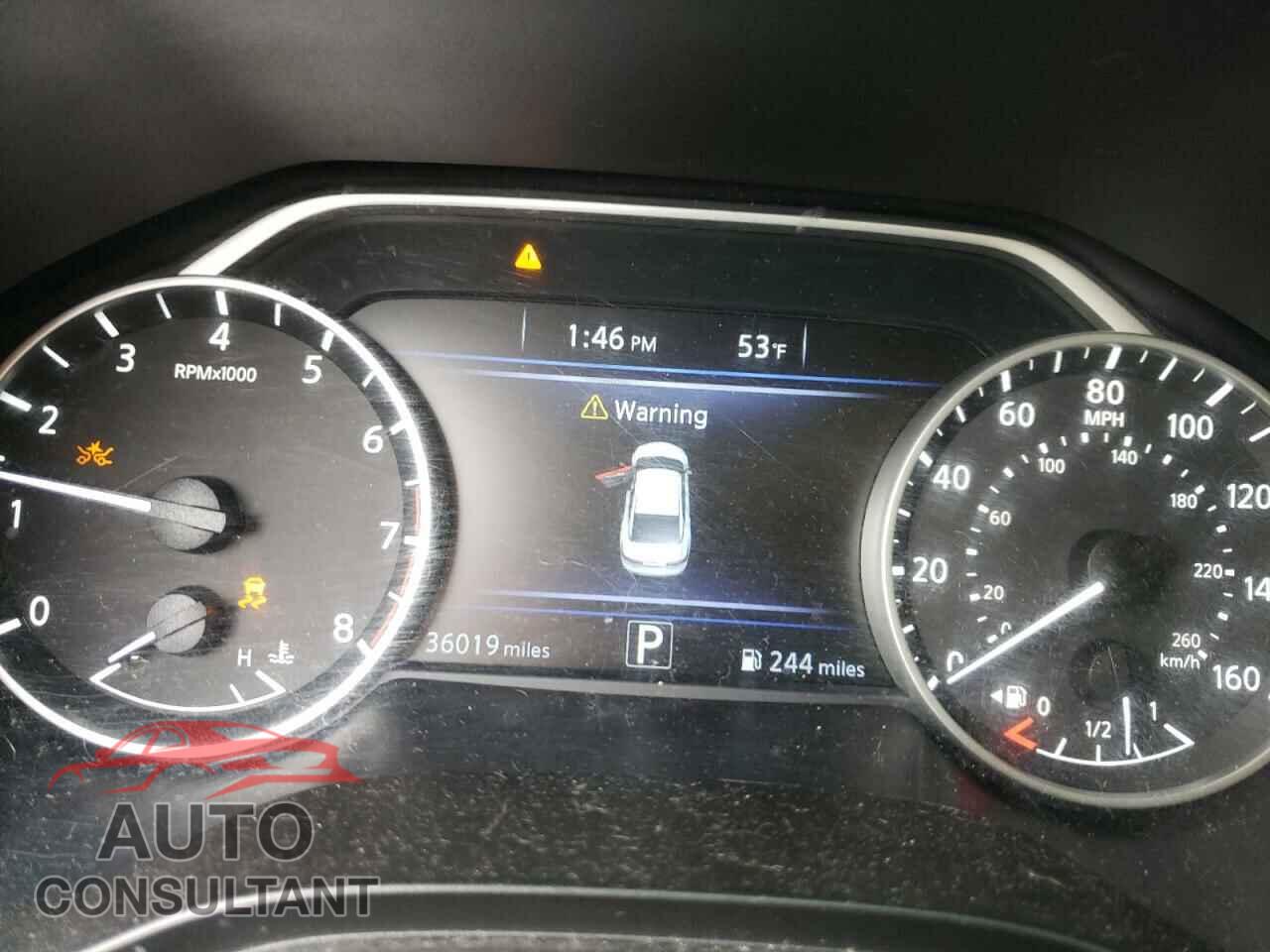 NISSAN MAXIMA 2019 - 1N4AA6AV5KC379518