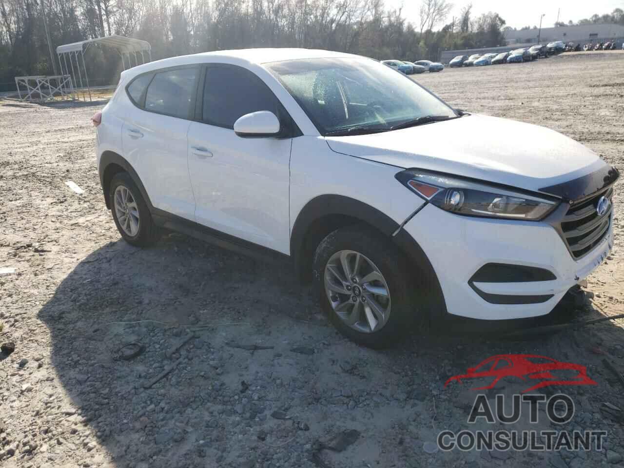 HYUNDAI TUCSON 2016 - KM8J23A43GU242376
