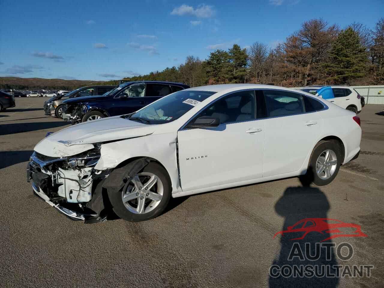 CHEVROLET MALIBU 2022 - 1G1ZB5STXNF210673