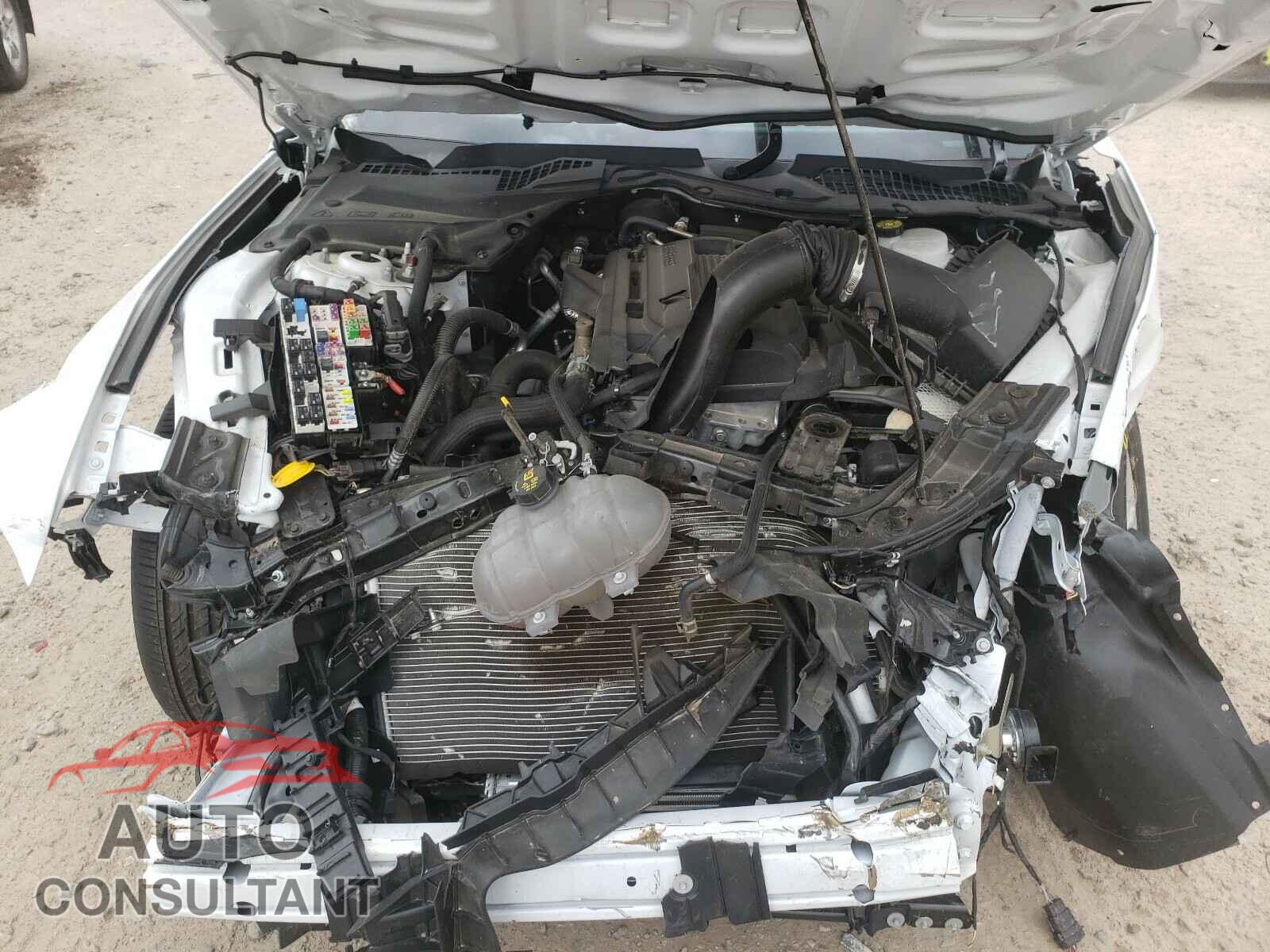 FORD MUSTANG 2019 - 1FA6P8TH1K5187427