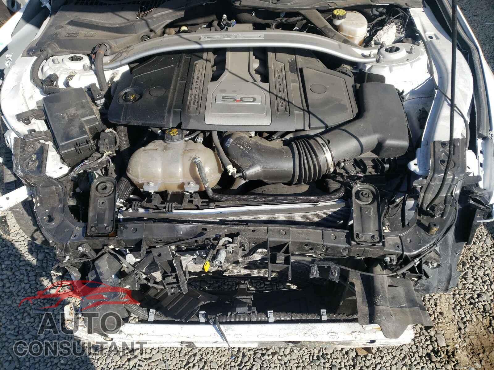 FORD MUSTANG 2019 - 1FATP8FF7K5171858