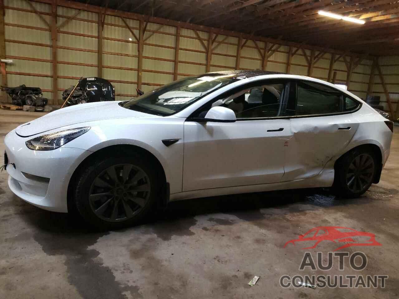 TESLA MODEL 3 2021 - 5YJ3E1EA5MF083034