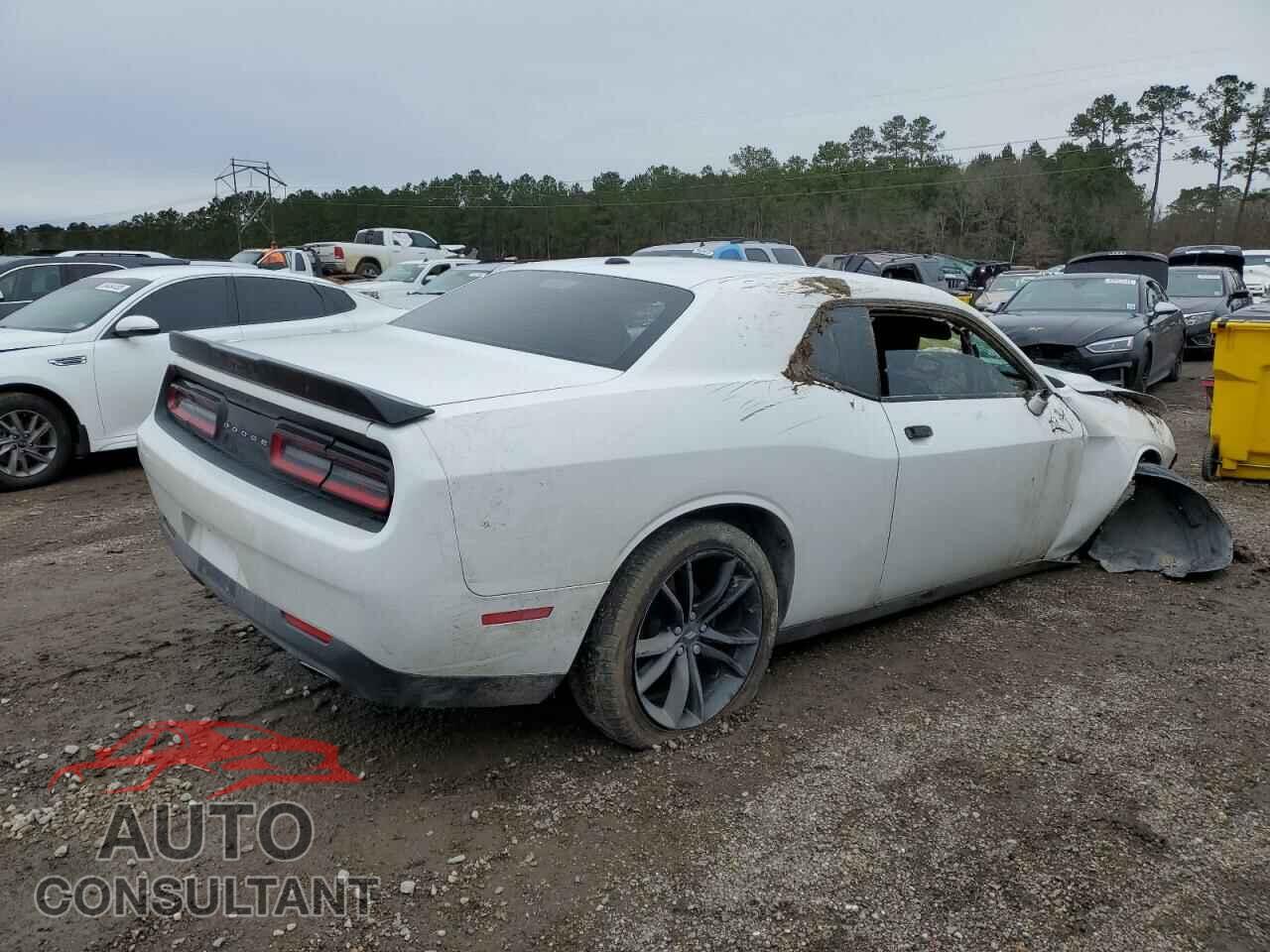 DODGE CHALLENGER 2018 - 2C3CDZAG8JH310707