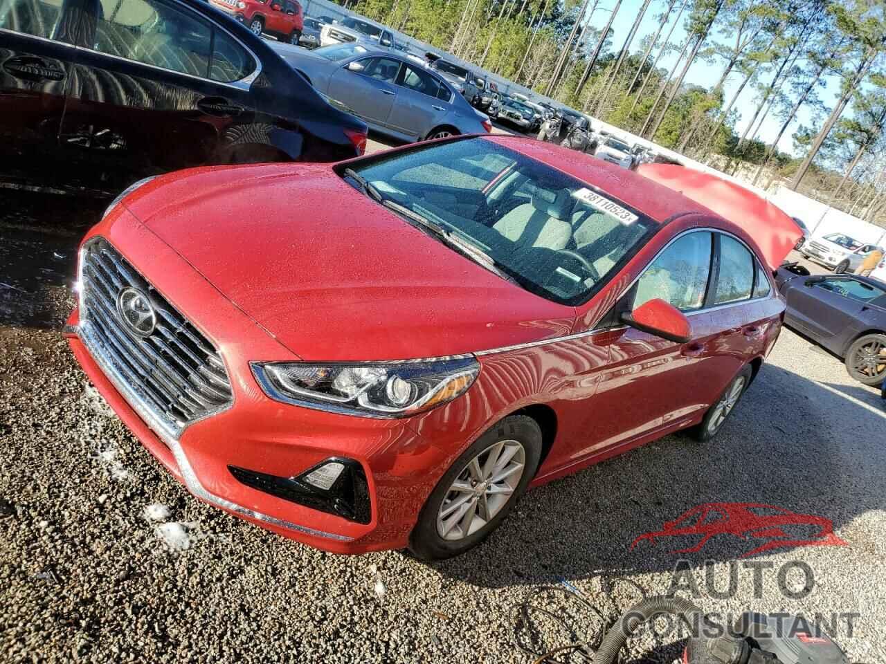 HYUNDAI SONATA 2019 - 5NPE24AF4KH763770