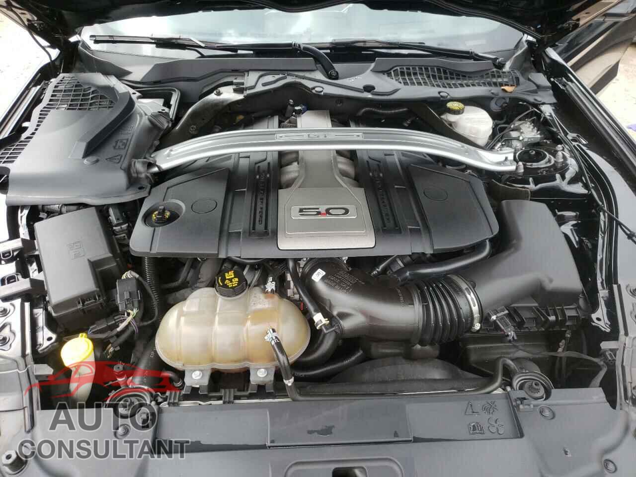 FORD MUSTANG 2019 - 1FA6P8CF9K5200360