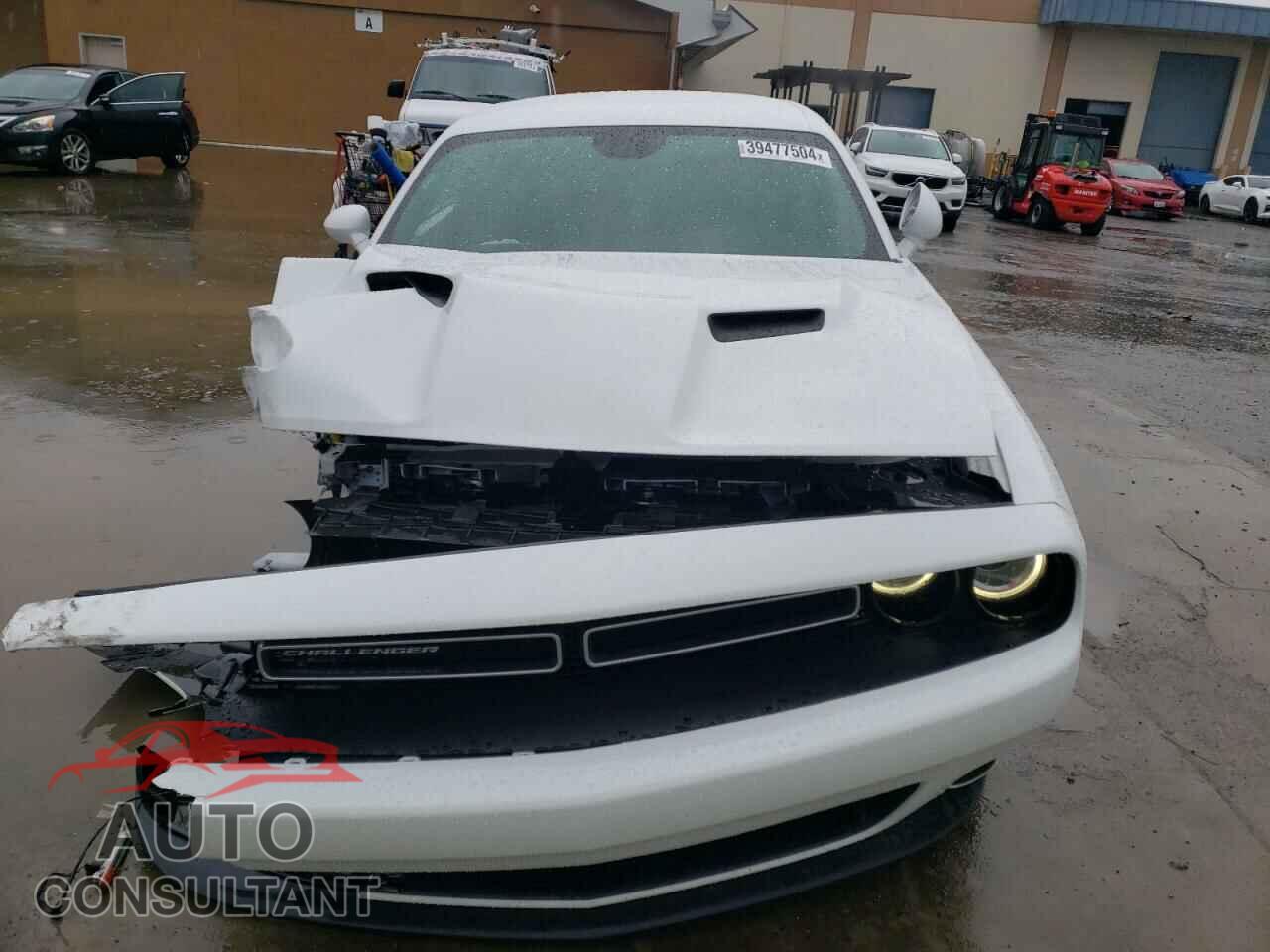 DODGE CHALLENGER 2019 - 2C3CDZAG9KH733460