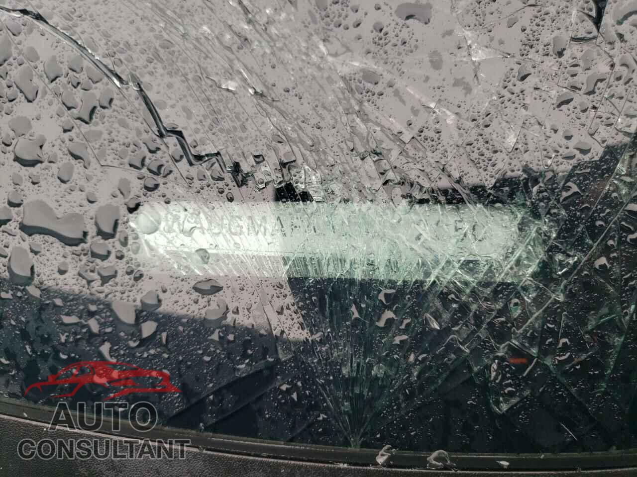 AUDI A4 2019 - WAUGMAF45KN022050
