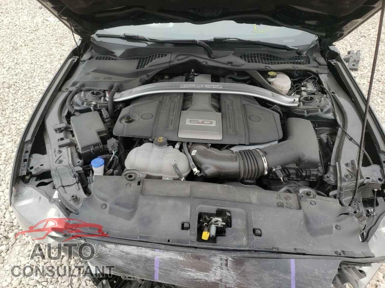 FORD MUSTANG 2020 - 1FA6P8CF3L5176509