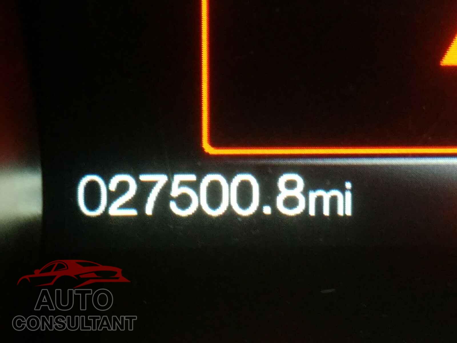 FORD MUSTANG 2019 - 1FA6P8CF8K5147621