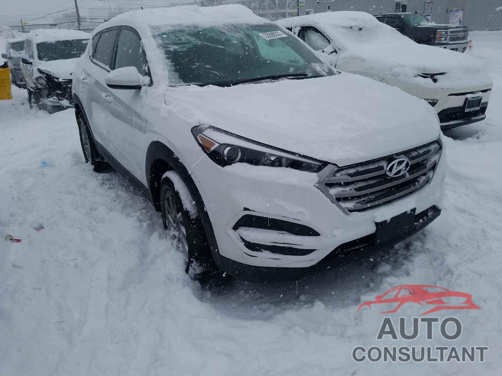 HYUNDAI TUCSON 2017 - KM8J23A40HU268516