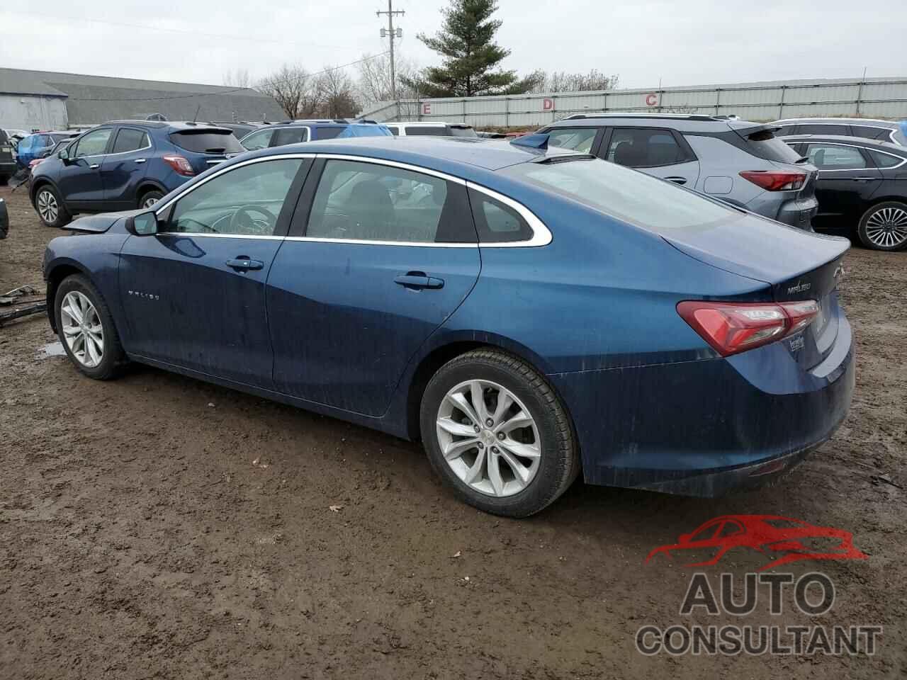 CHEVROLET MALIBU 2019 - 1G1ZD5ST9KF191572